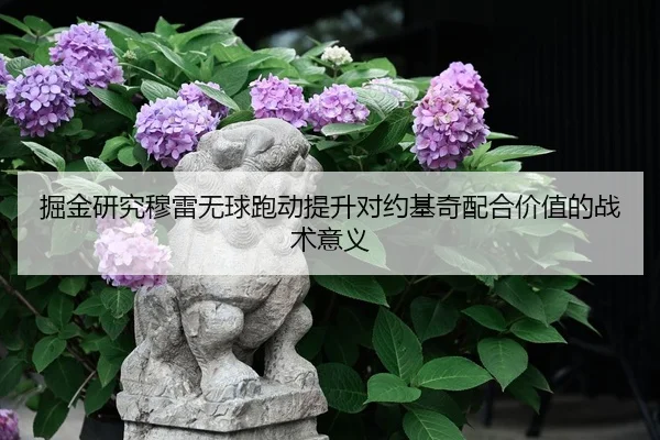 掘金研究穆雷无球跑动提升对约基奇配合价值的战术意义
